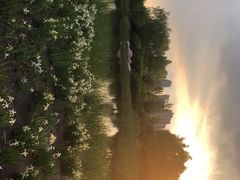 -群力丁香公园