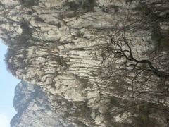 -嵩山少林文化旅游景区