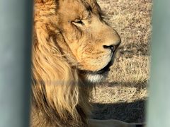 -鄂尔多斯野生动物园