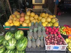 -瑞丽独树成林风景区