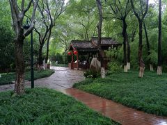 -西溪国家湿地公园