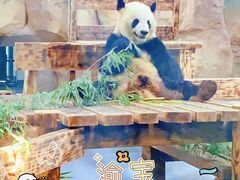 -无锡动物园·太湖欢乐园