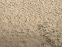 -大京沙滩
