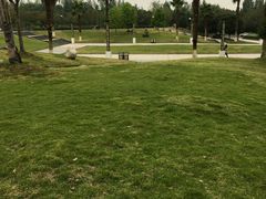 -西南政法大学(渝北校区)