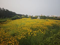 -青岛银沙滩温德姆至尊酒店