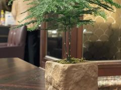 -浙江安吉JW万豪酒店·万豪中餐厅