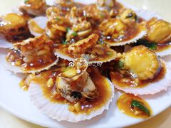 蚝油扇贝-华春餐馆(鱼山路店)