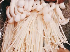 -同仁四季椰子鸡(福田东园总店)