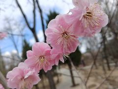 -北京鹫峰国家森林公园