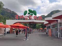 -吉姆冒险世界(蓟州店)