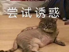 -海底捞火锅(泉城路店)