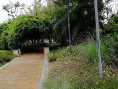 -府河摄影公园