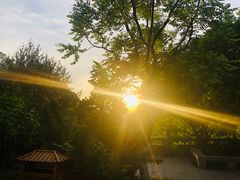 -佛慧山