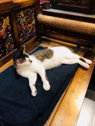 -汉刺青TATTOO STUDIO