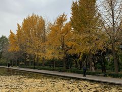 -玲珑塔公园