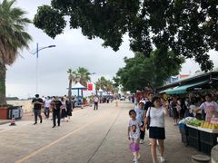 -南沙十九涌渔人码头-南门