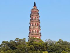 -顺峰山公园
