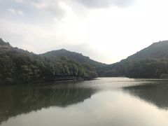 -白马涧龙池景区