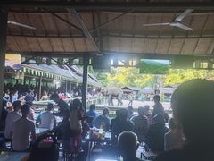 -野象谷景区
