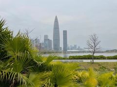 -深圳人才公园