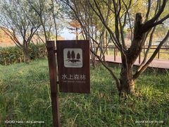 -贡湖湾湿地公园