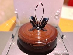 -BLACKSWAN黑天鹅(环球店)