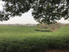 -敬亭山风景名胜区