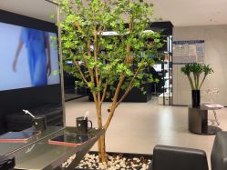 -付军剪艺JF ProSalon