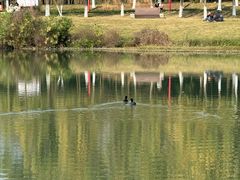 -眉山湿地公园(东坡区)