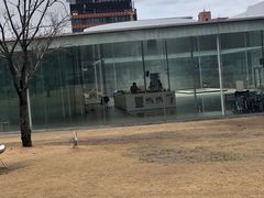 -金泽21世纪美术馆