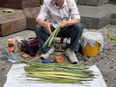 -泡桐树街