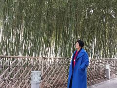 -春晖园度假酒店温泉