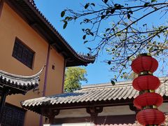 -灵谷景区
