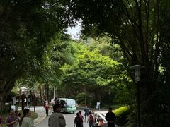 -深圳国际园林花卉博览园