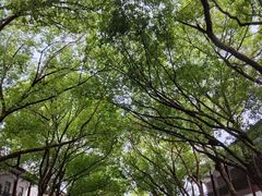 -横店影视城梦幻谷园区
