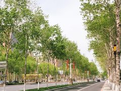 -长春世界雕塑园冰雪艺术天地