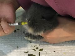 -雨林宠物医院 非犬猫异宠专科