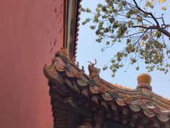 -故宫博物院(故宫)