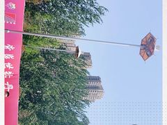 -曹州牡丹园