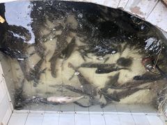 -官厅老勾渔馆(温泉店)