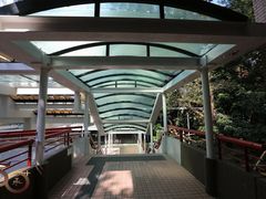 -香港大学