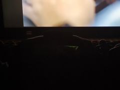 -天幕新彩云国际影城(激光巨幕店)