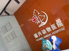 -瑞派福兴宠物医院犬猫全科·骨科·中西医结合(河东店)