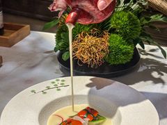 -叶叶菩提(太原别墅店)