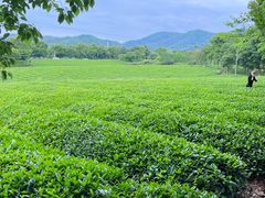 -敬亭山风景名胜区