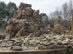 -合肥野生动物园