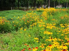 -永定河休闲森林公园
