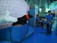 -泉城欧乐堡海洋极地世界