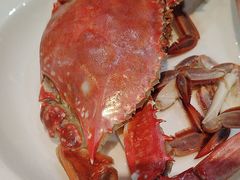 -日月昇渔家菜·海肠捞饭·大连海鲜(星海公园店)