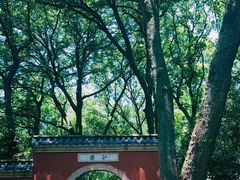 -灵谷景区